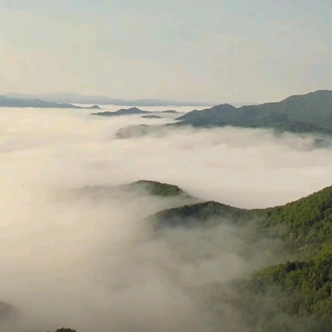甘犁崖百货