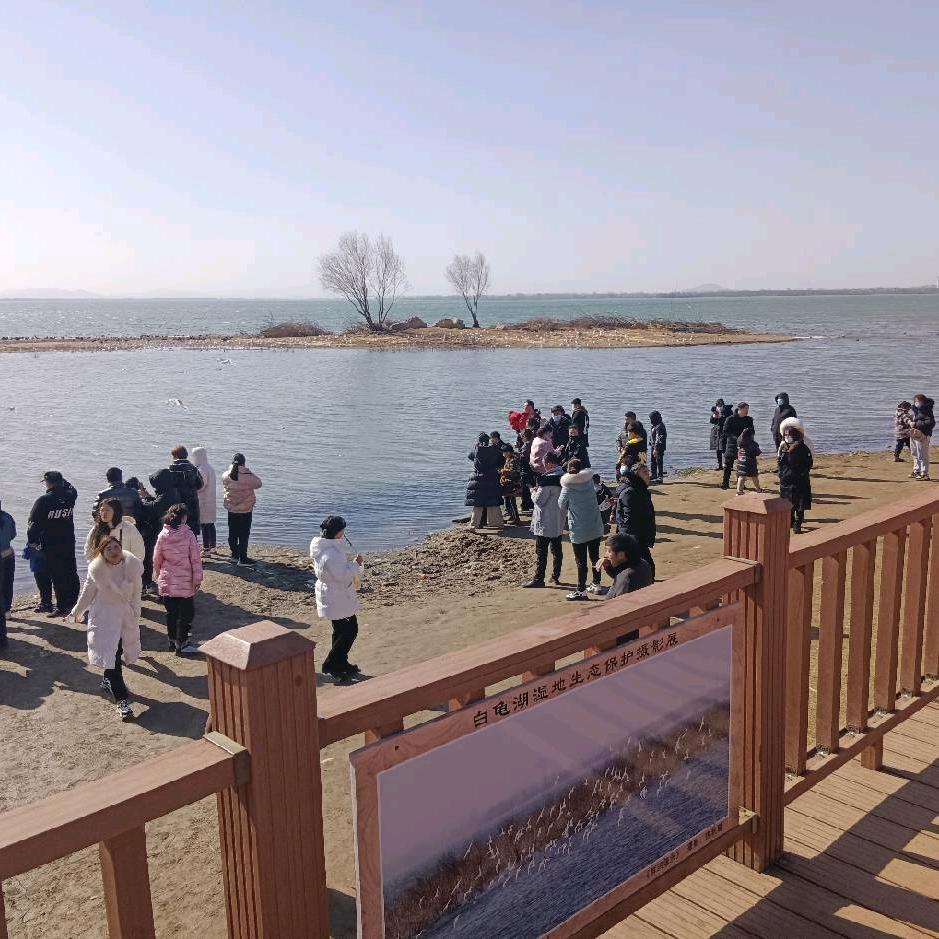 🛒乐优🎼精品推荐🔥