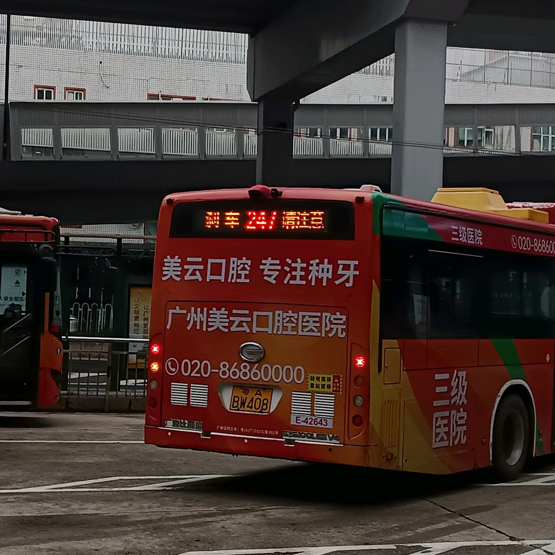 虾虾米【谭冼一】