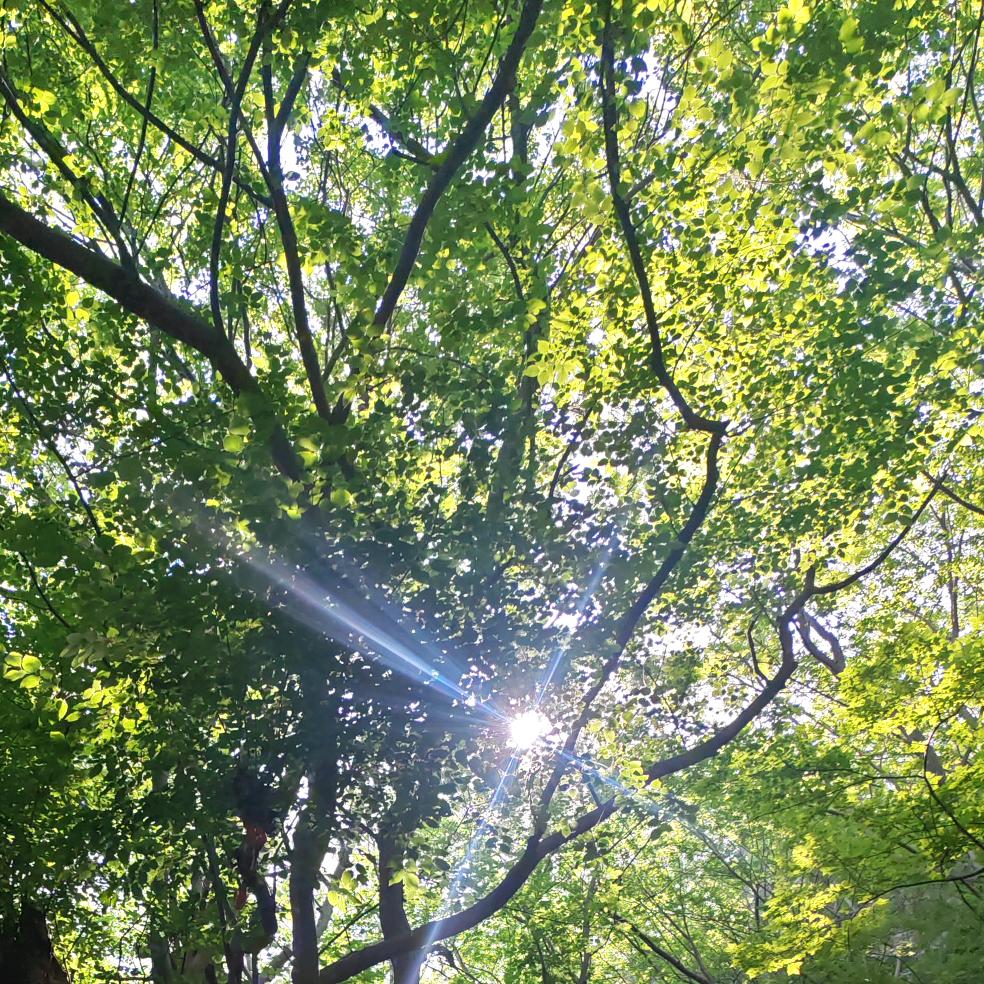 小土包子