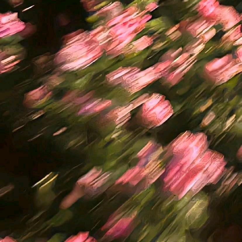 招财静宝
