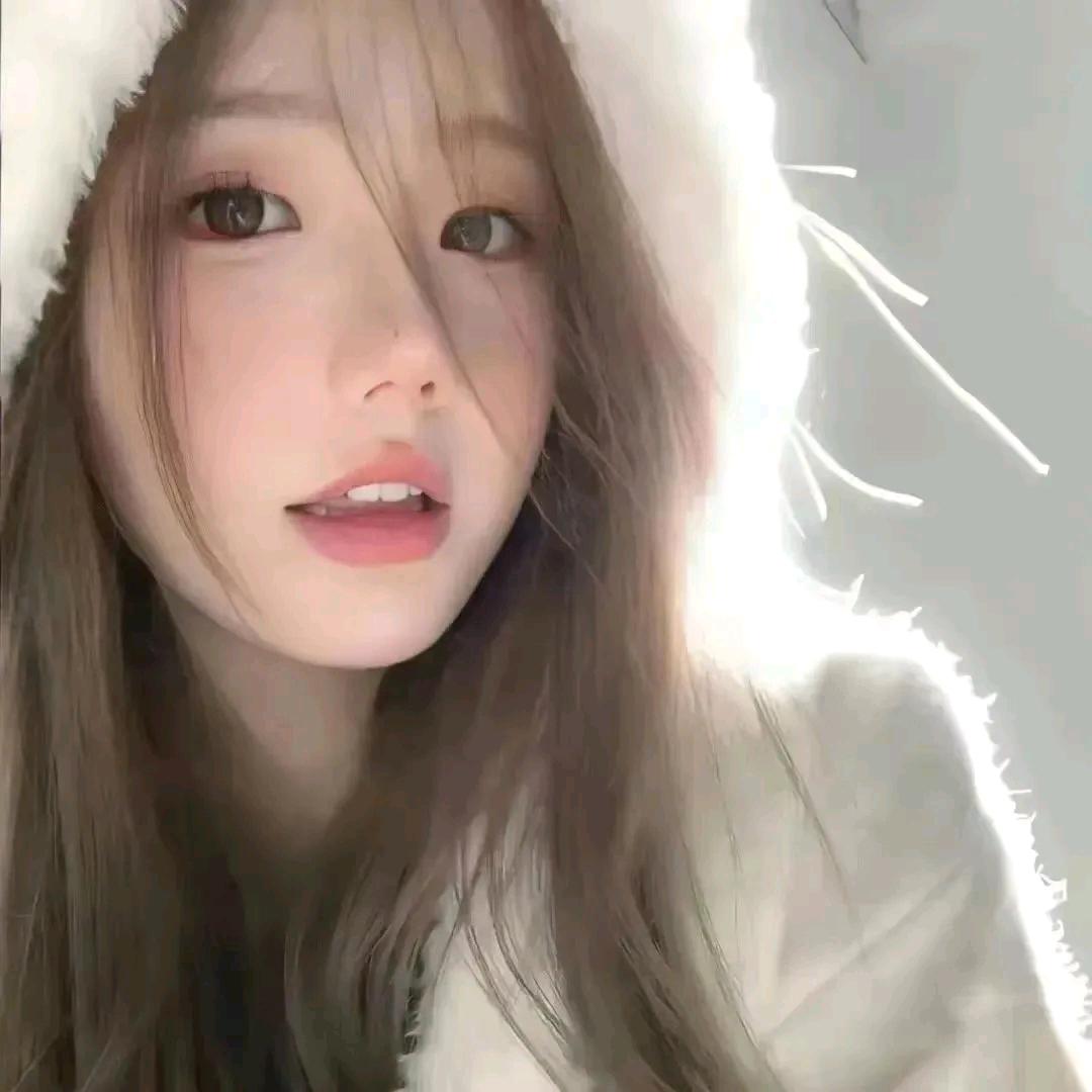 🌻 ꯭ 诗 ꯭-꯭ ꯭弋.꯭