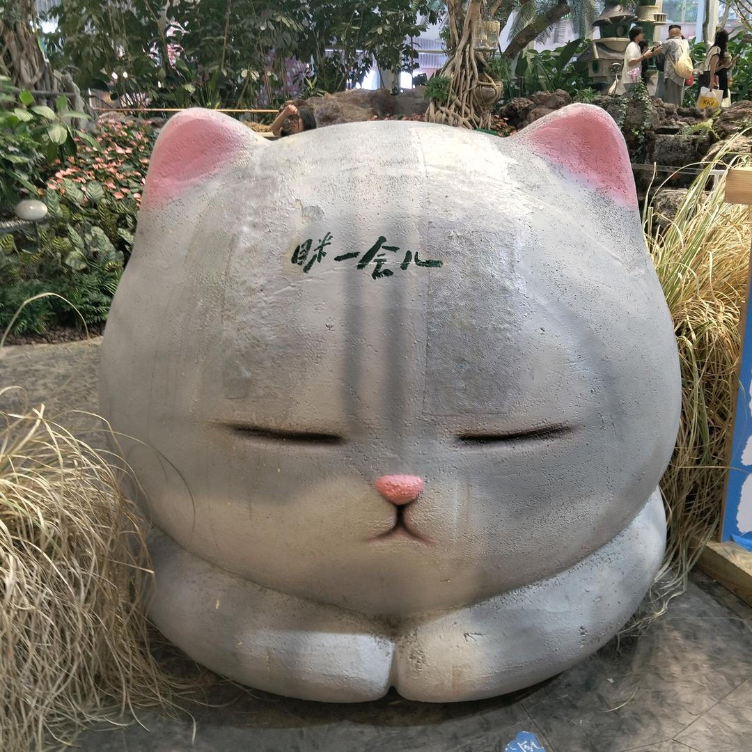 大知闲闲