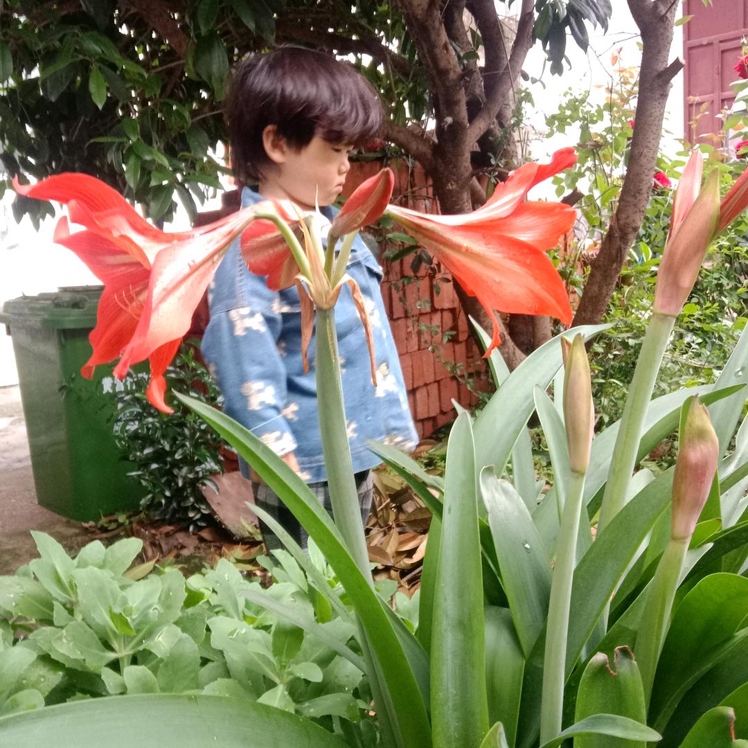 幸福之家