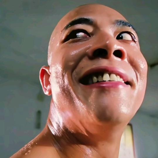 一本正经的胡说