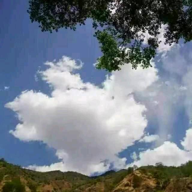 @邹荣卫