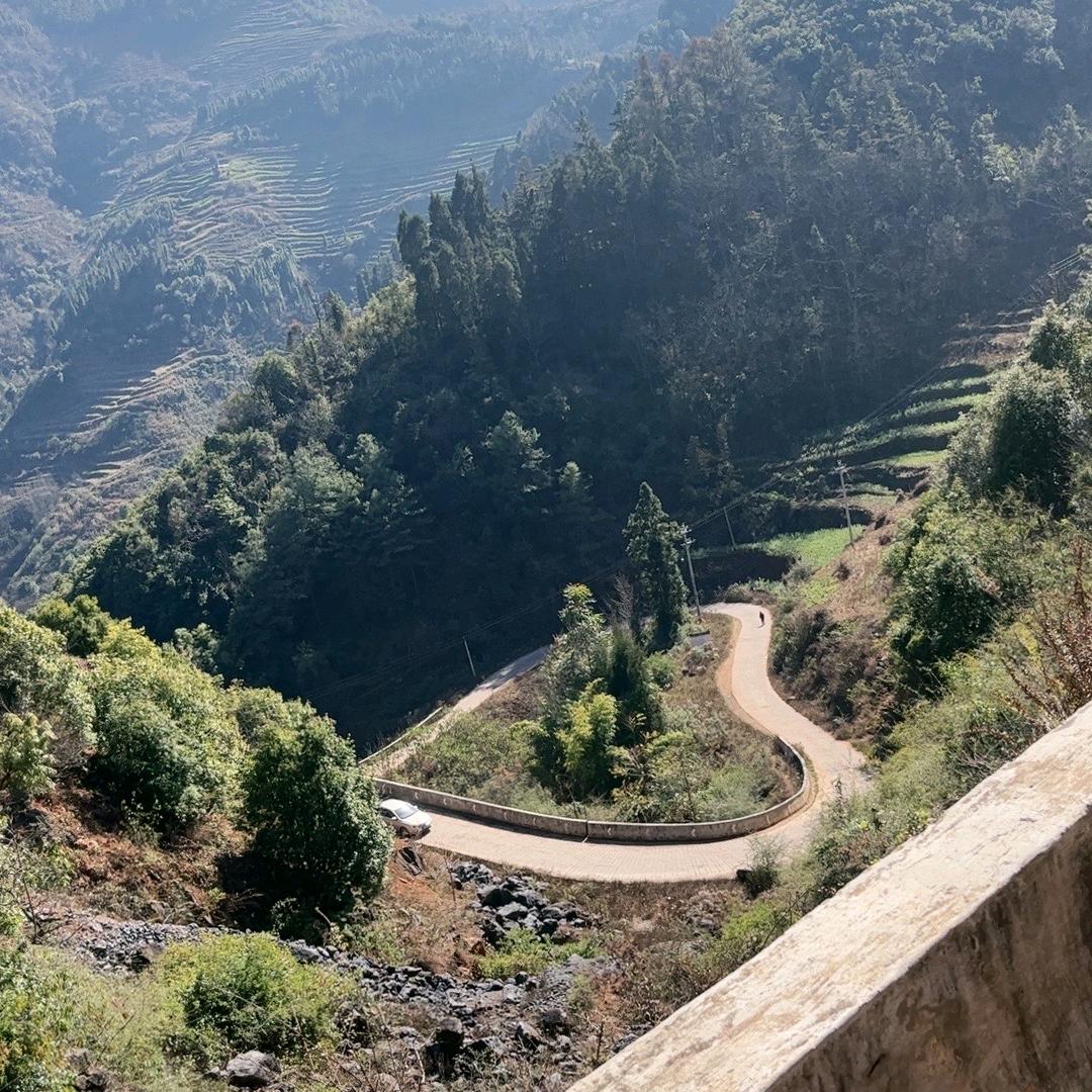 云D赵夕🍀相伴🍀