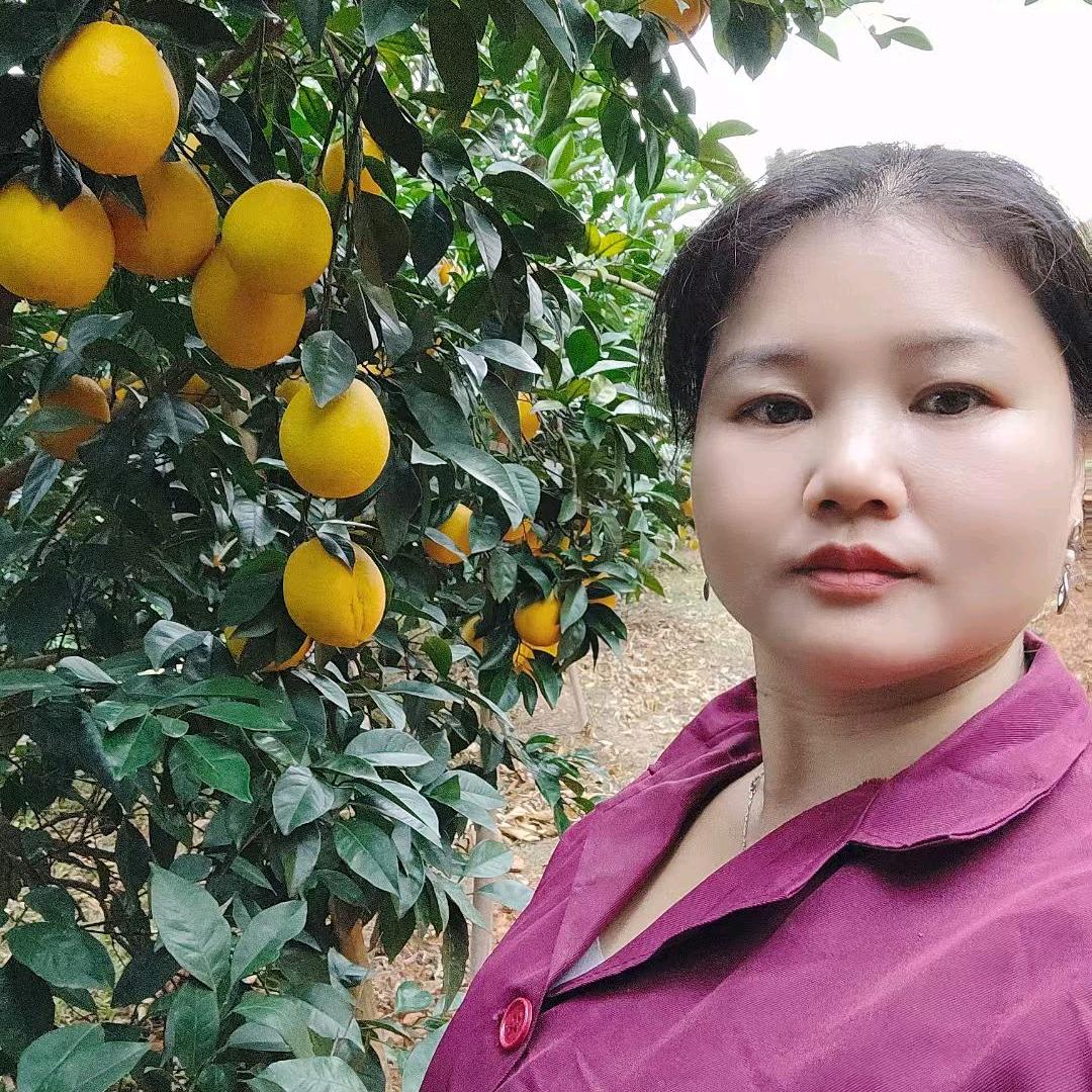 赣南橙妹子