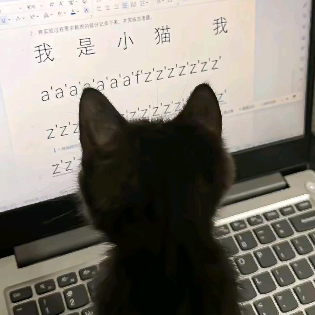 不吃辣(っ ̯ -｡)