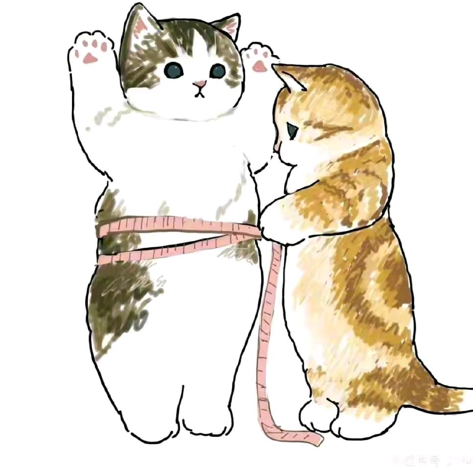 蔡先生