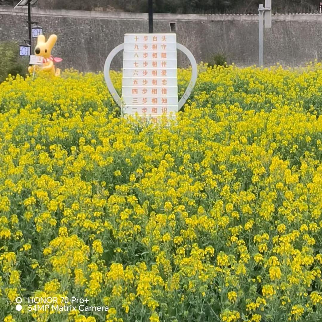 小卡密