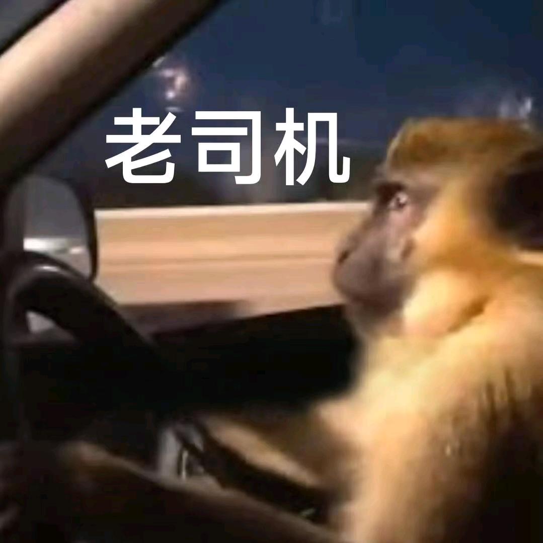 🛻老司机🏎