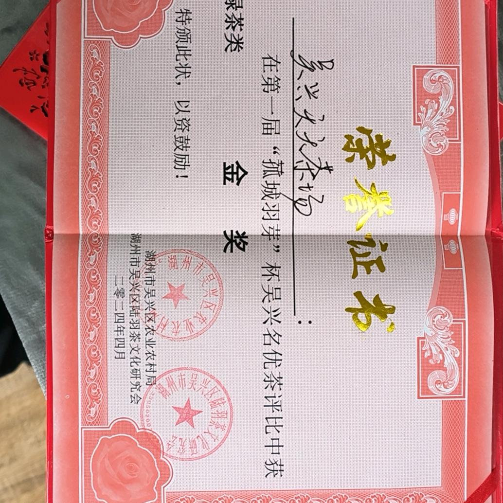 天天茶场