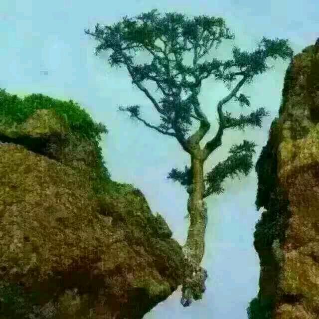 所向披靡