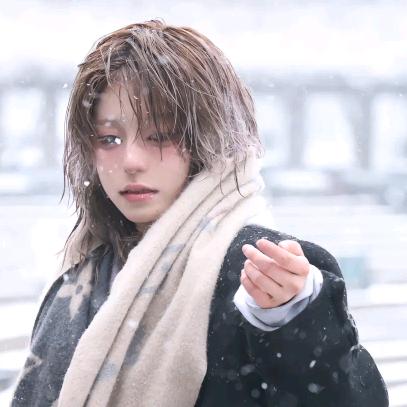 小猫去孤儿院放世上只有妈妈好
