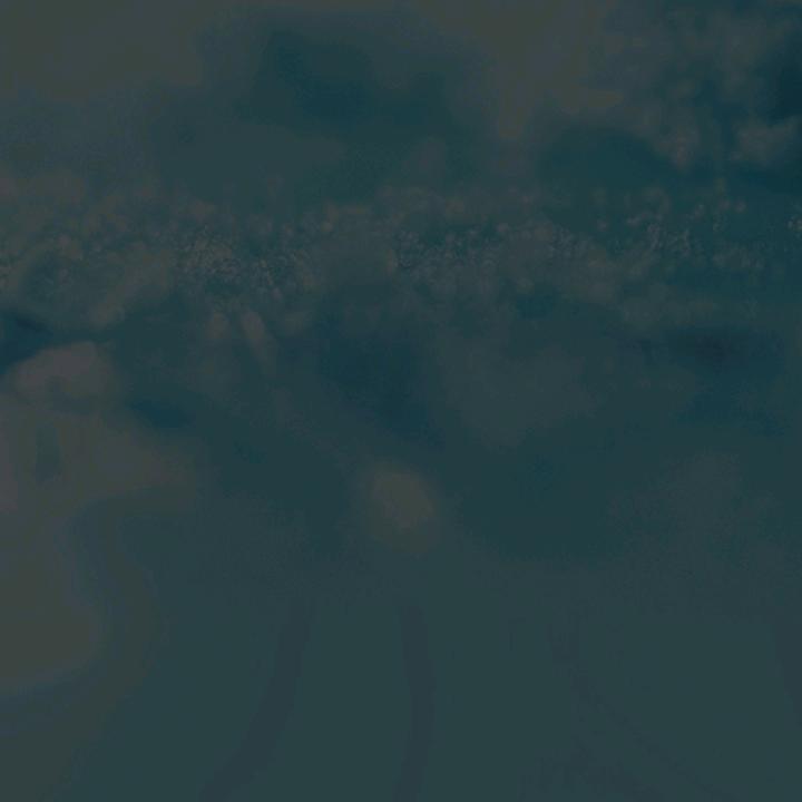 永新商行批发部，，张献群上犹人