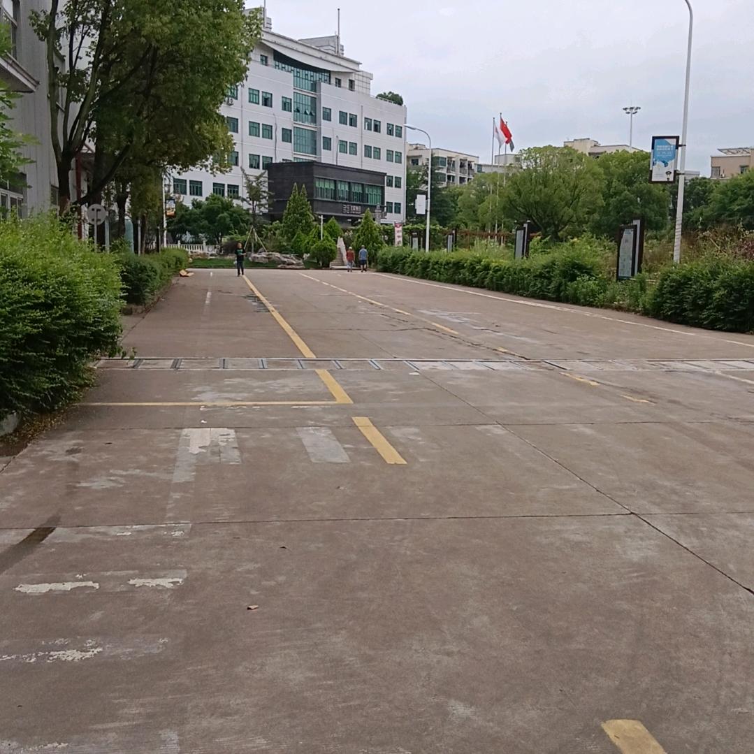 驰骋天涯