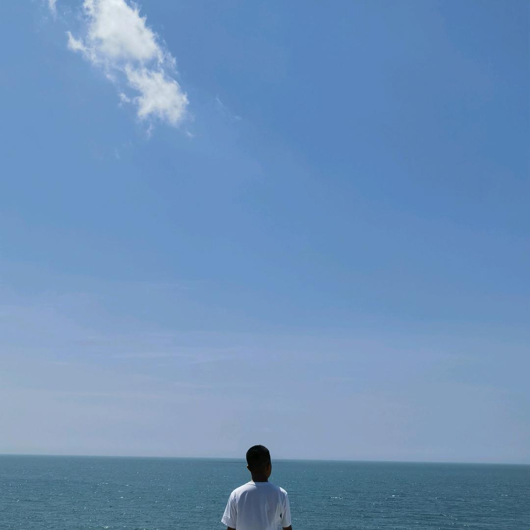 南方狼