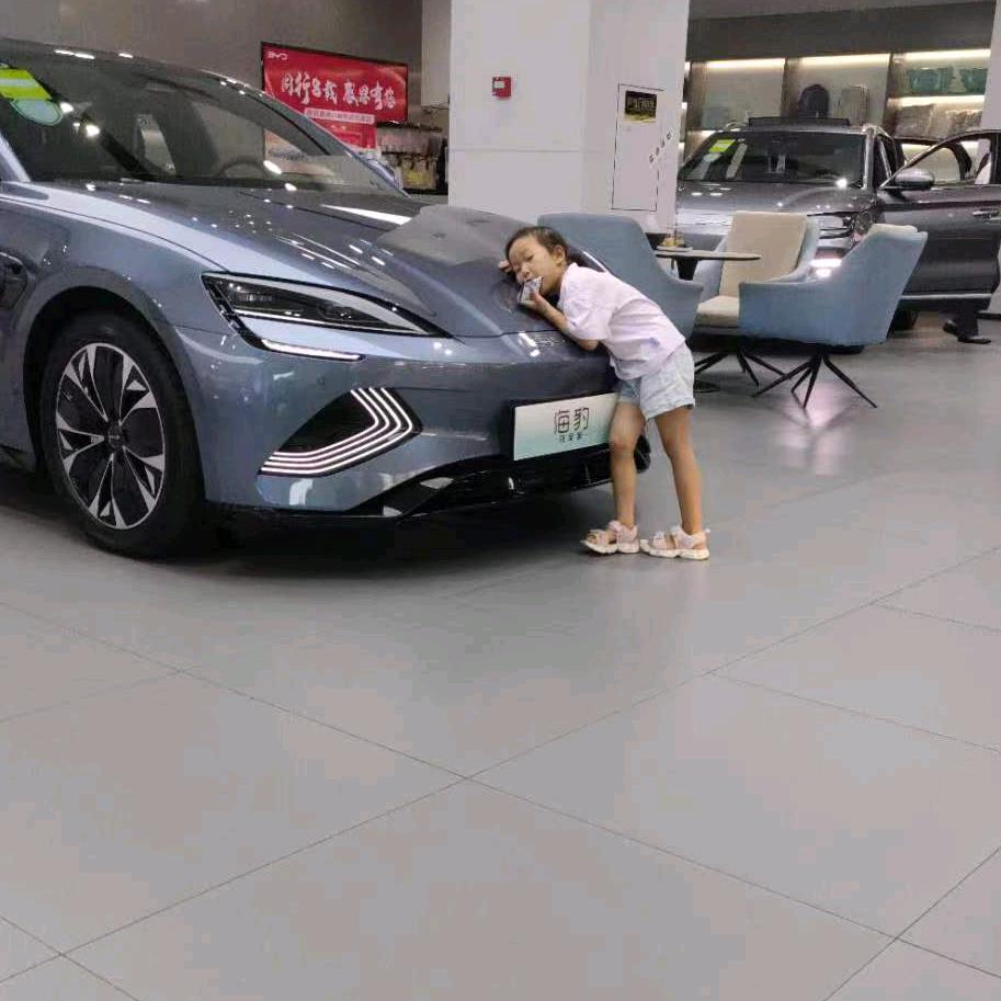 猫儿爱做梦