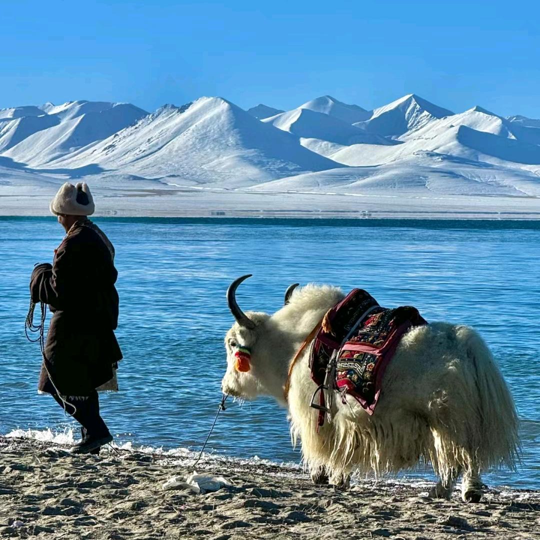 旅行家李可波罗