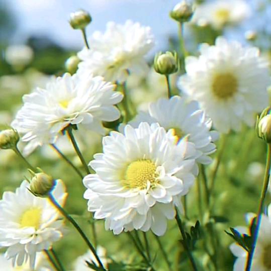 累了谁❤️疼你