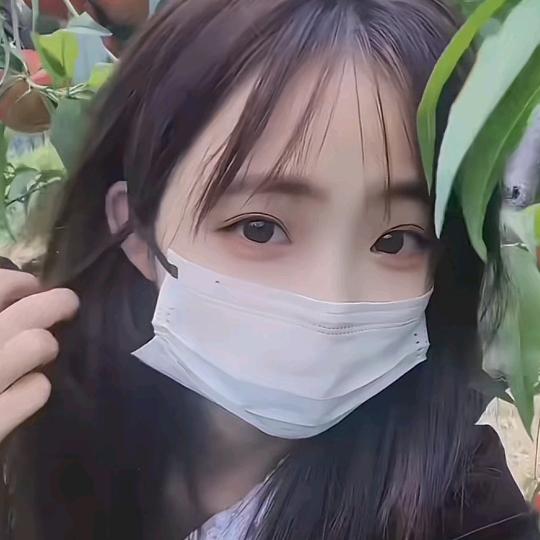 耶熊