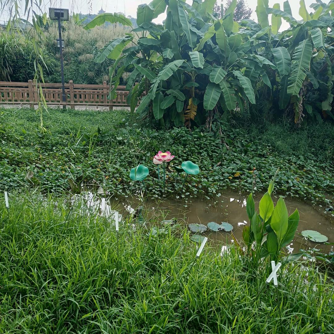 清风明月