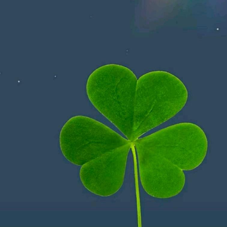 百毒不侵🍀