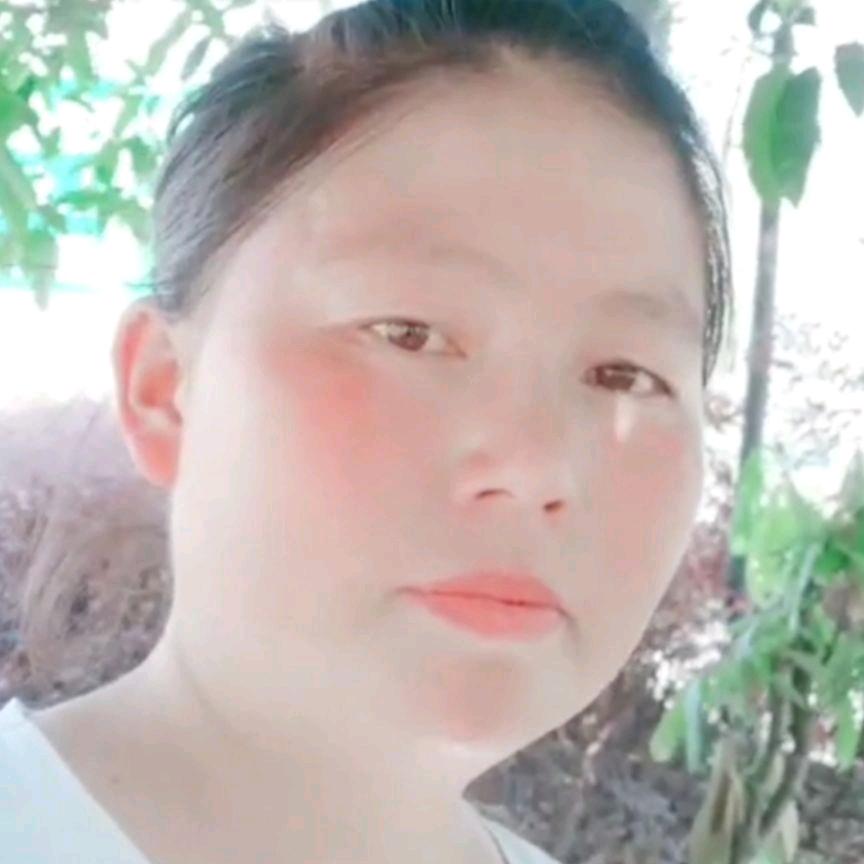 小燕子