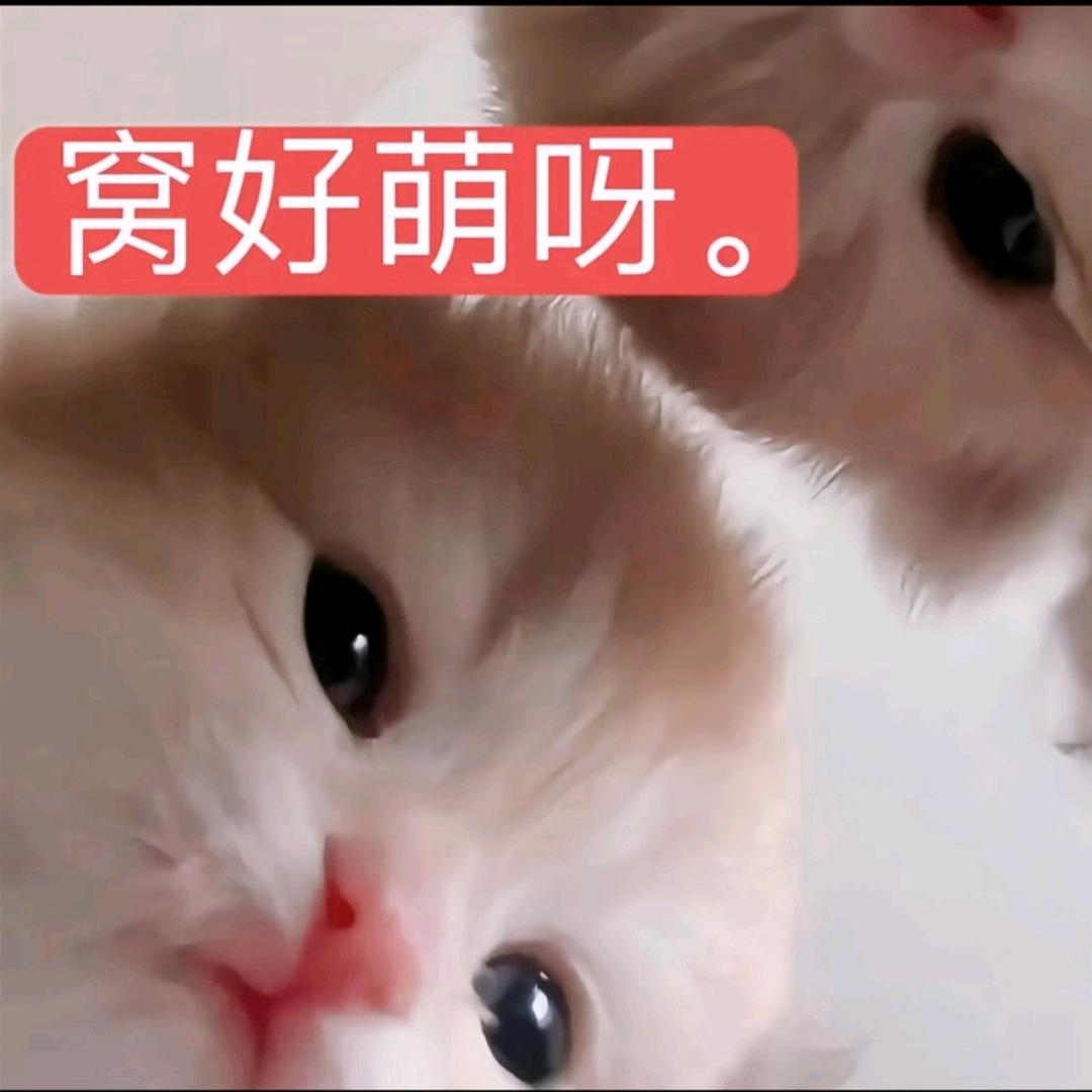 首先我性格有问题