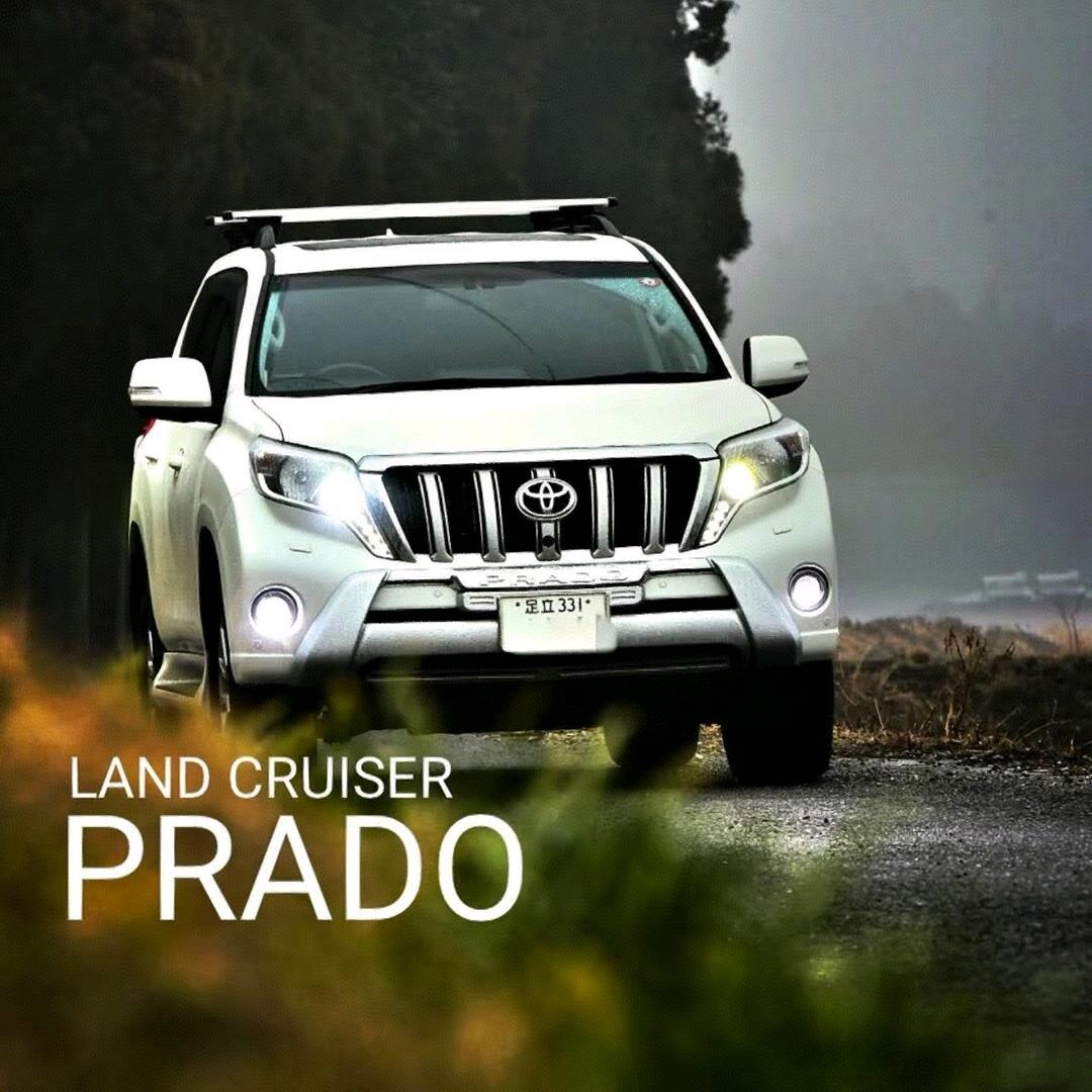 @普拉多全国收售