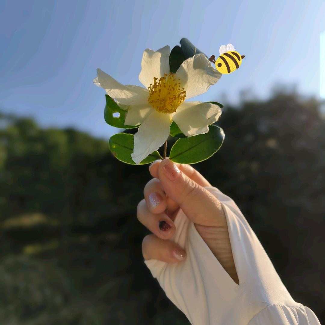 俊宝