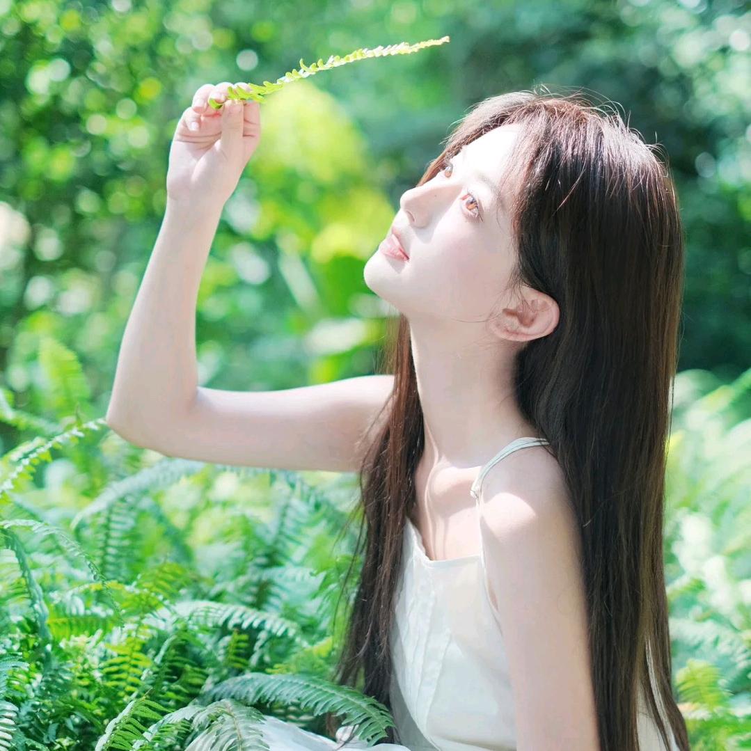 与风哼小调