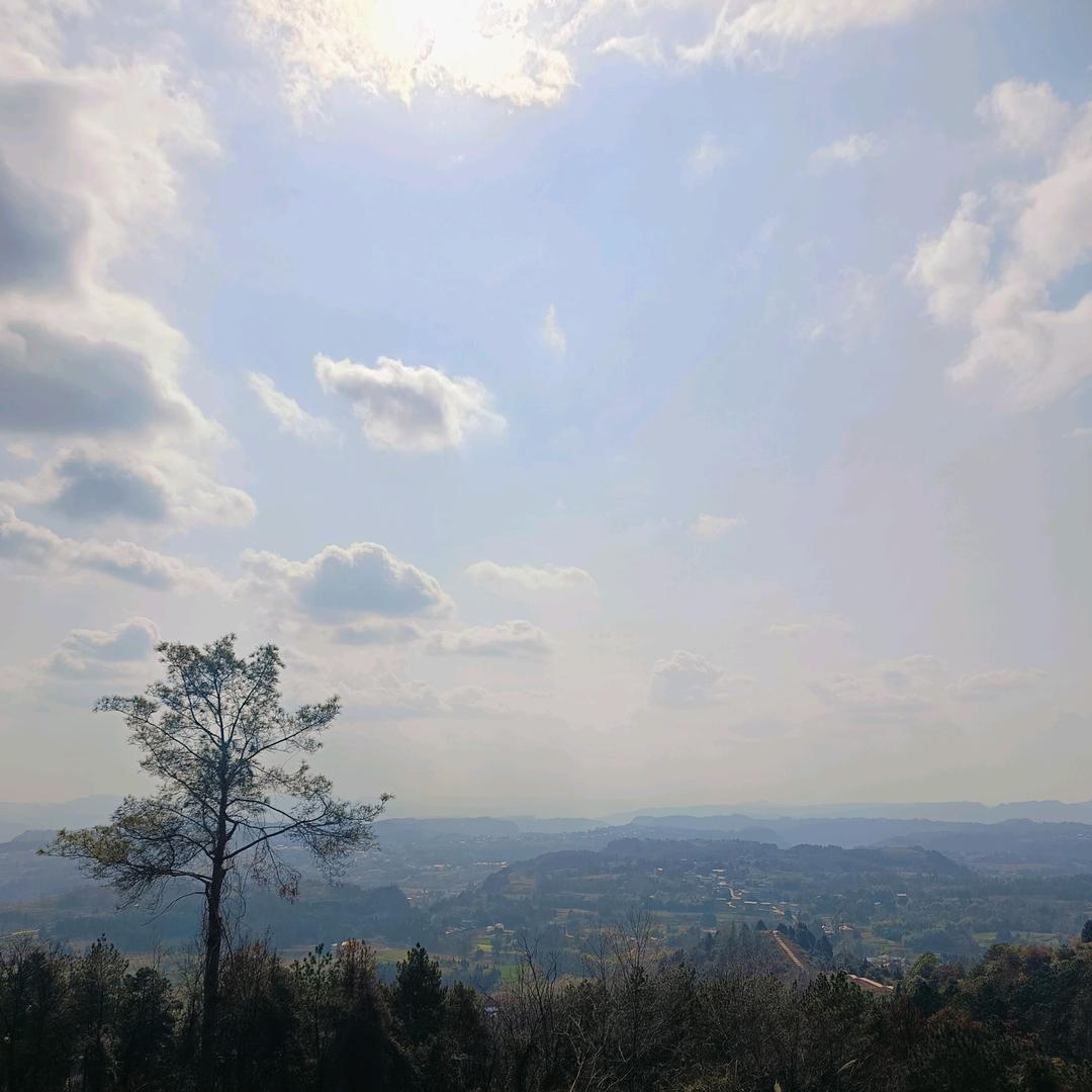 🍀᭄星✨晨🥀大海✨᭄