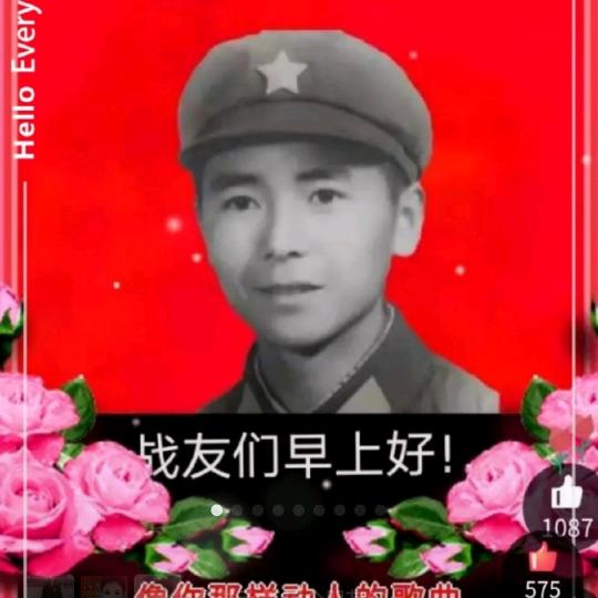 越战军人龙进元
