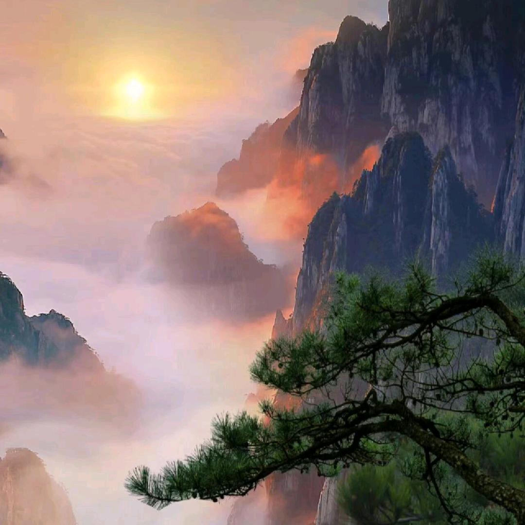 黄山@阳阳带您游