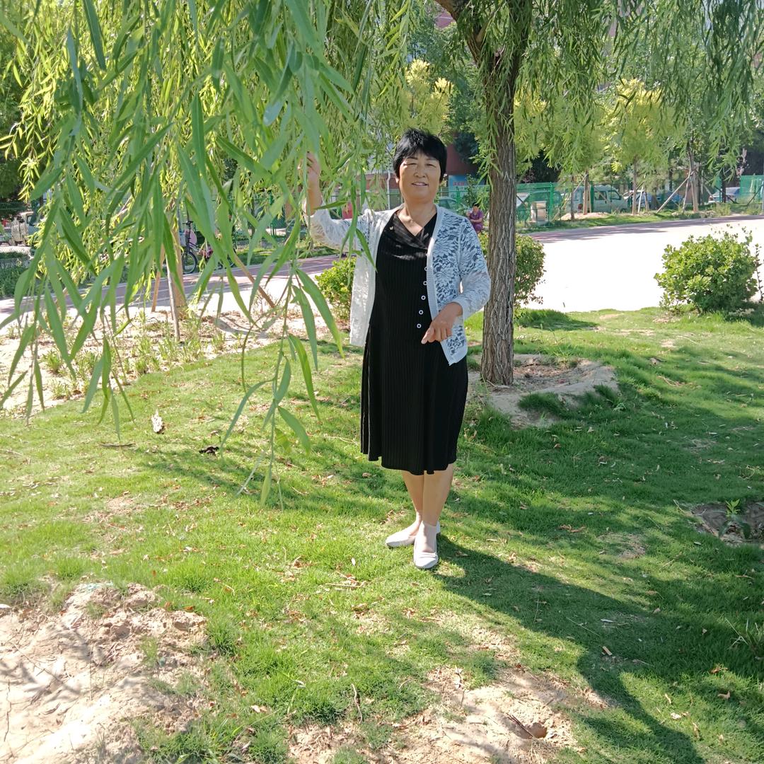 梦晴