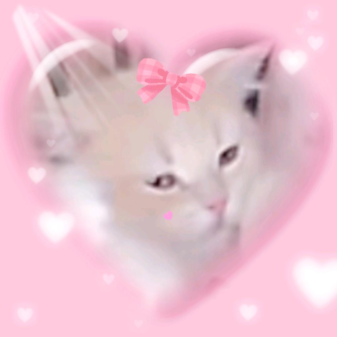 津源寶貝家的宝贝儿（姐）