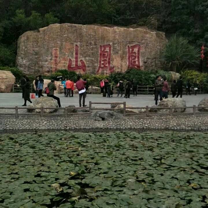 开心就好！