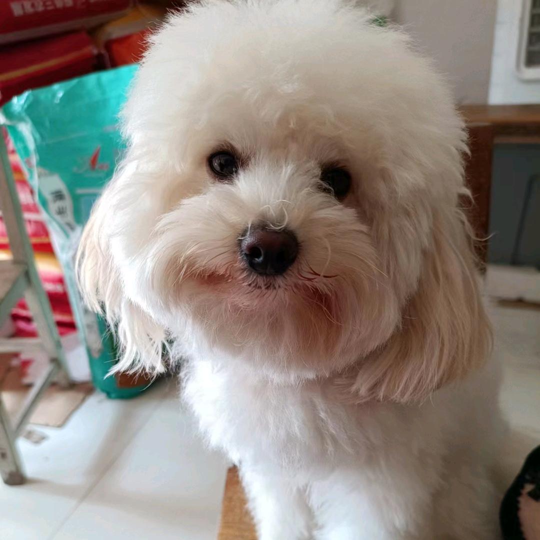 怪不怪