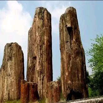 中立房产，回收房子等