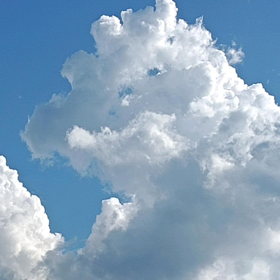 玫瑰送谁都浪漫