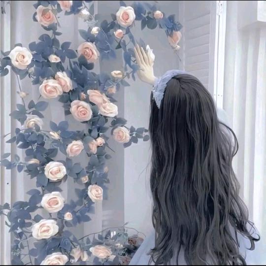 月心情感语录