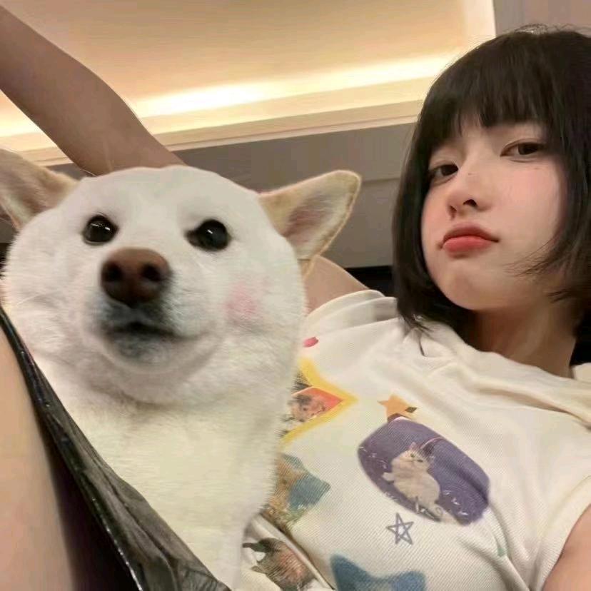 卷毛小泡面