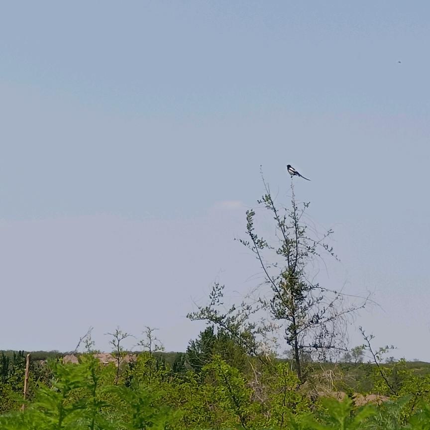 骑行🚴‍♀️快乐