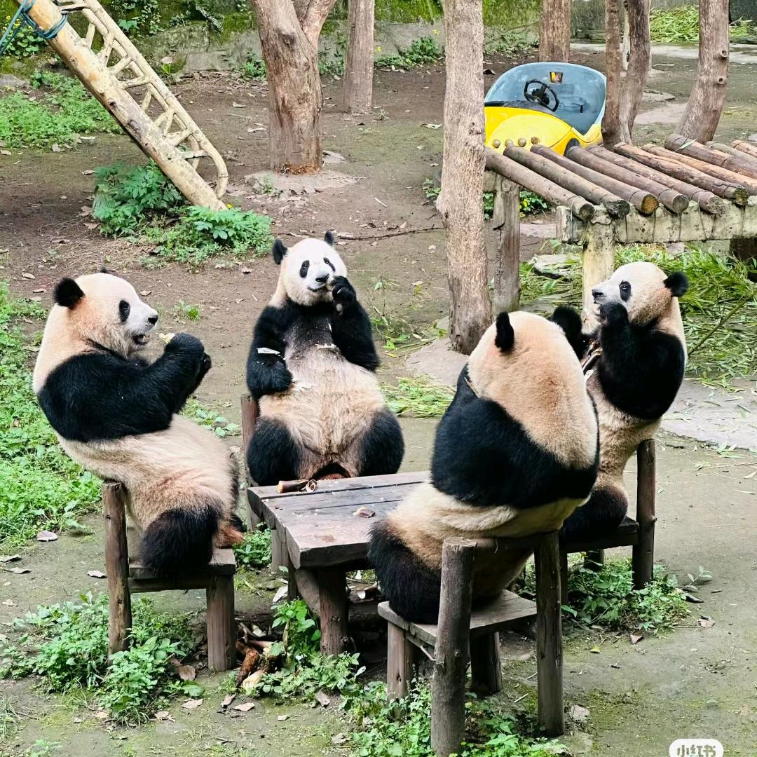 即刻出发