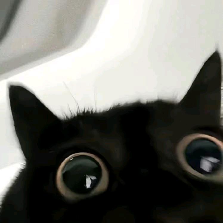 小意