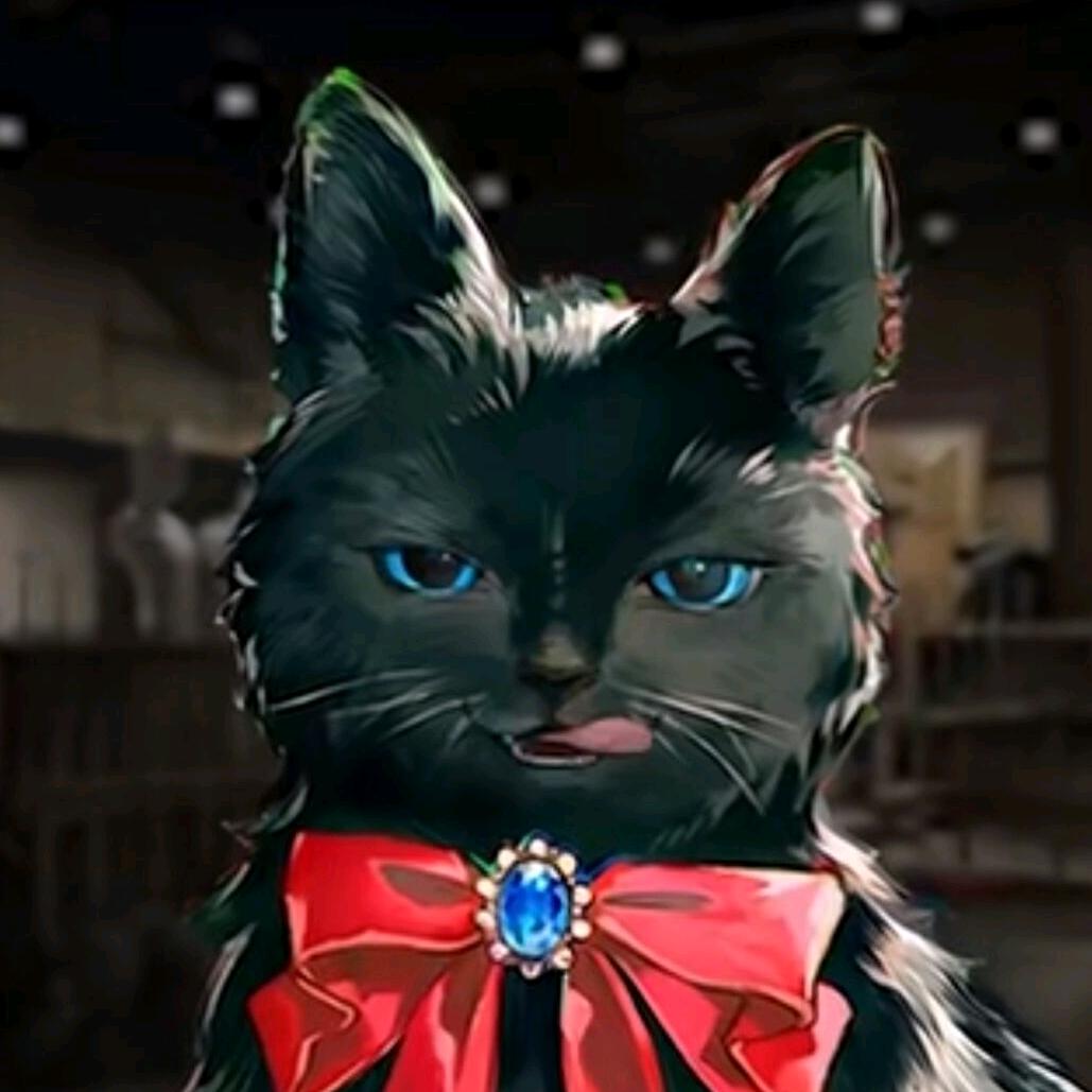 猫の咖啡汤