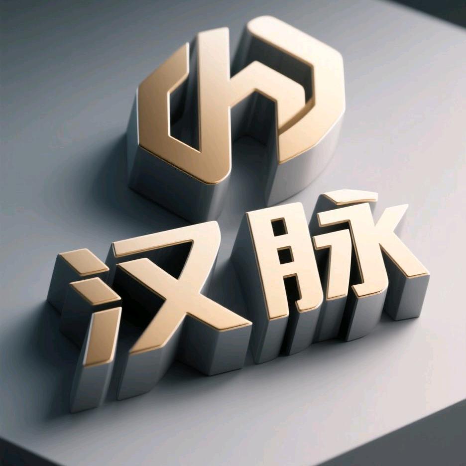 汉脉药业