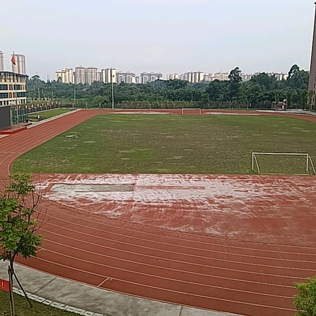 新华体育运动学校